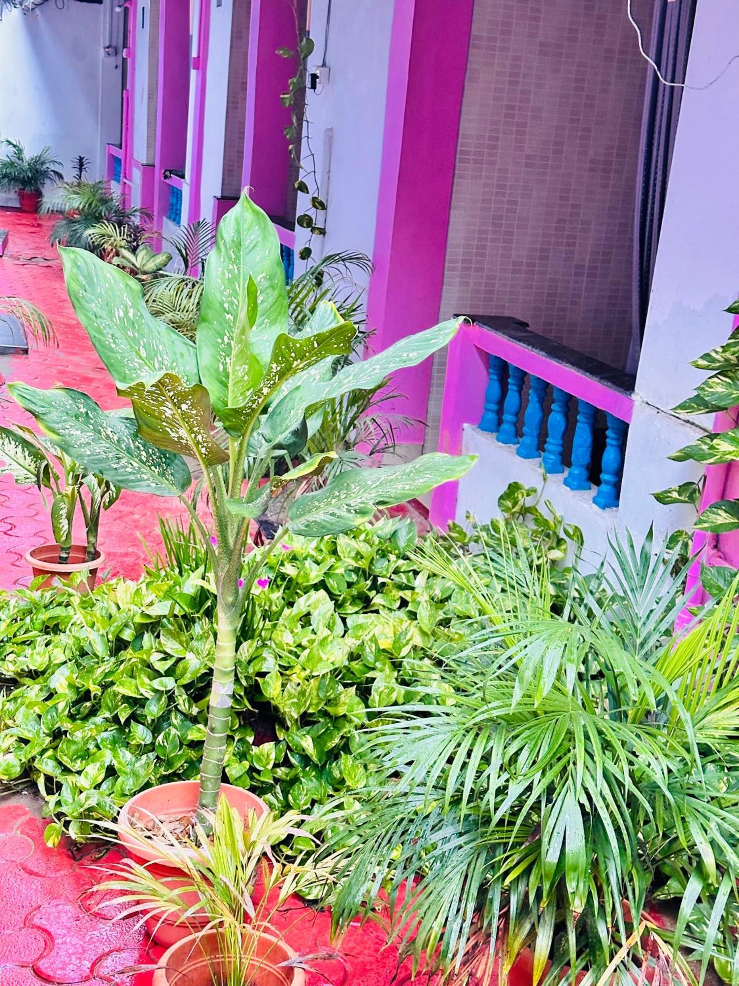 Blue Mirage Palolem Goa Otel Canacona Dış mekan fotoğraf